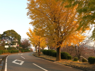 （後編） 今年1年のツーリングを振り返る_e0261673_916030.jpg