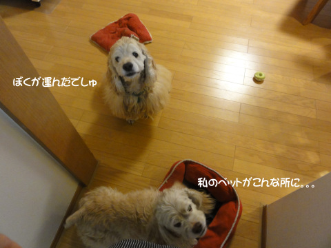 f0218182_17434704.jpg