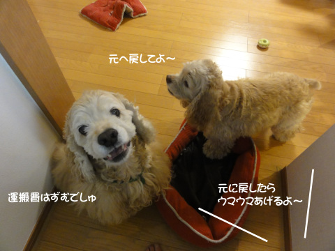 f0218182_17443213.jpg