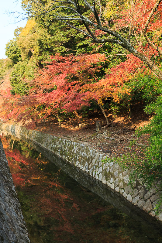 2013年の紅葉　未アップ　う〜んな写真たち_f0224083_23273043.jpg