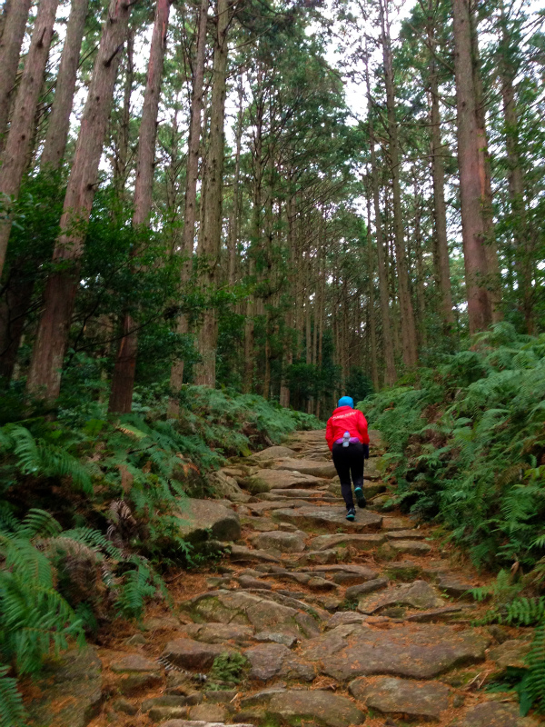 2013/12/226 Mountain Running in 便石山&楯ヶ崎_b0220886_10255159.jpg
