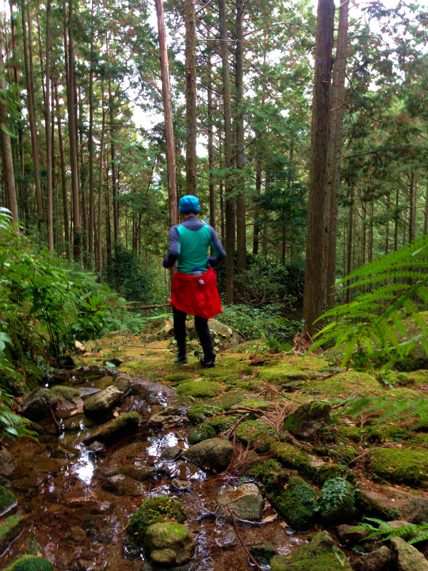 2013/12/226 Mountain Running in 便石山&楯ヶ崎_b0220886_11103320.jpg