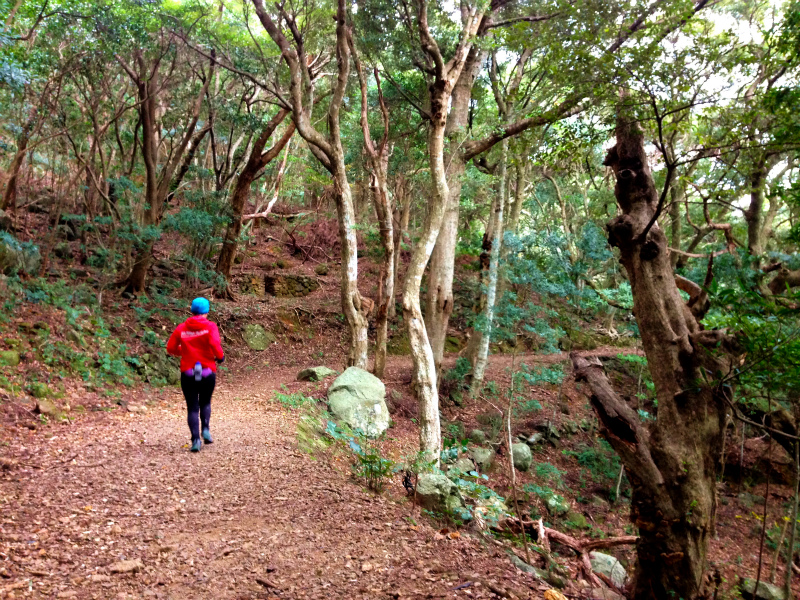 2013/12/226 Mountain Running in 便石山&楯ヶ崎_b0220886_1125475.jpg