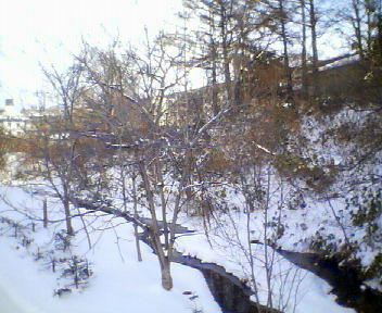 f0078286_132047.jpg