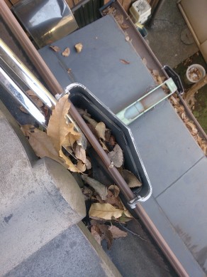 板橋区の大門で雨樋掃除_c0223192_1837062.jpg