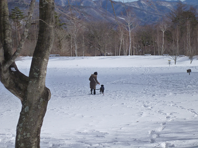 エスちゃん一周忌＆お山_d0282395_22331119.png