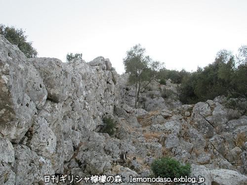 c0010496_23523297.jpg