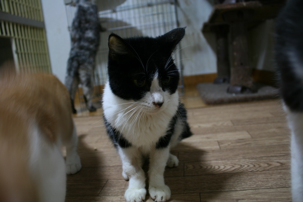 ぽち君 虹の橋へ。。。_f0242002_20452925.jpg