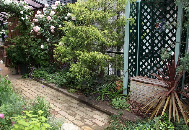 a0123003_21513094.jpg