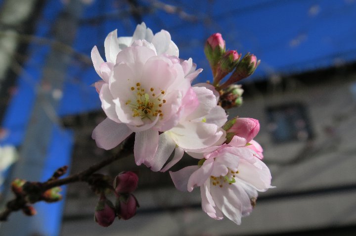 a0268412_23171364.jpg