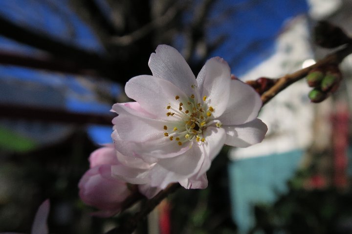a0268412_2317793.jpg