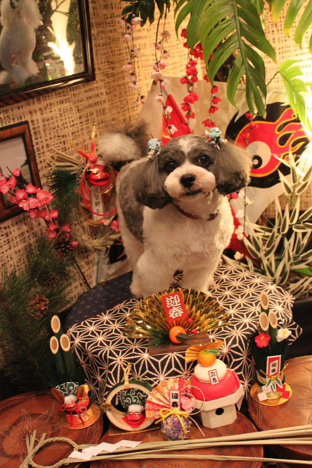 もちろん今年も・・・_b0130018_08927.jpg