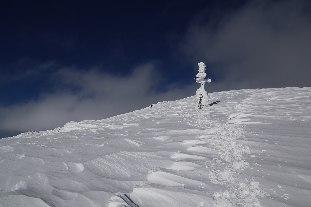 b0062024_2225794.jpg