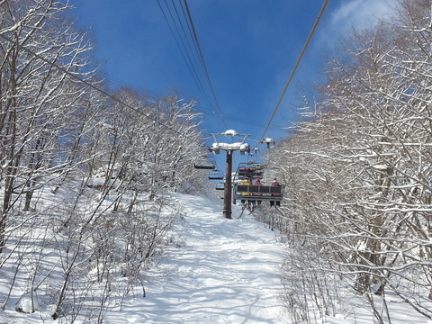 c0225927_16584577.jpg