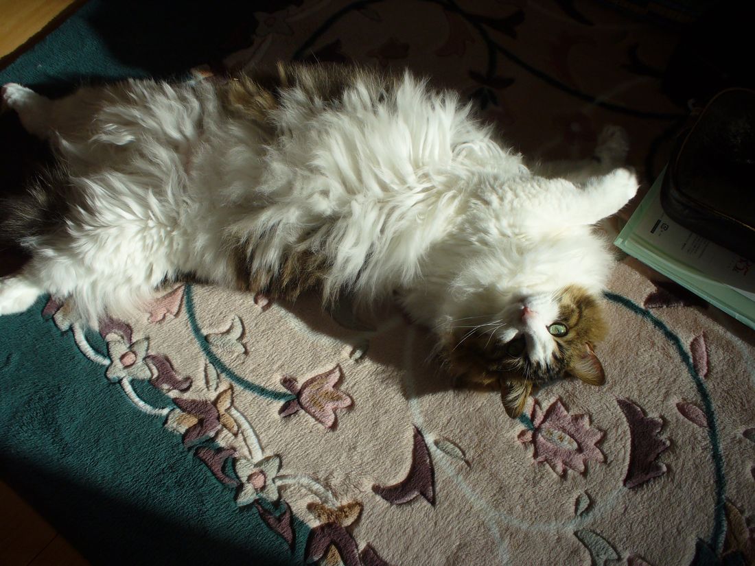 f0275632_22291259.jpg