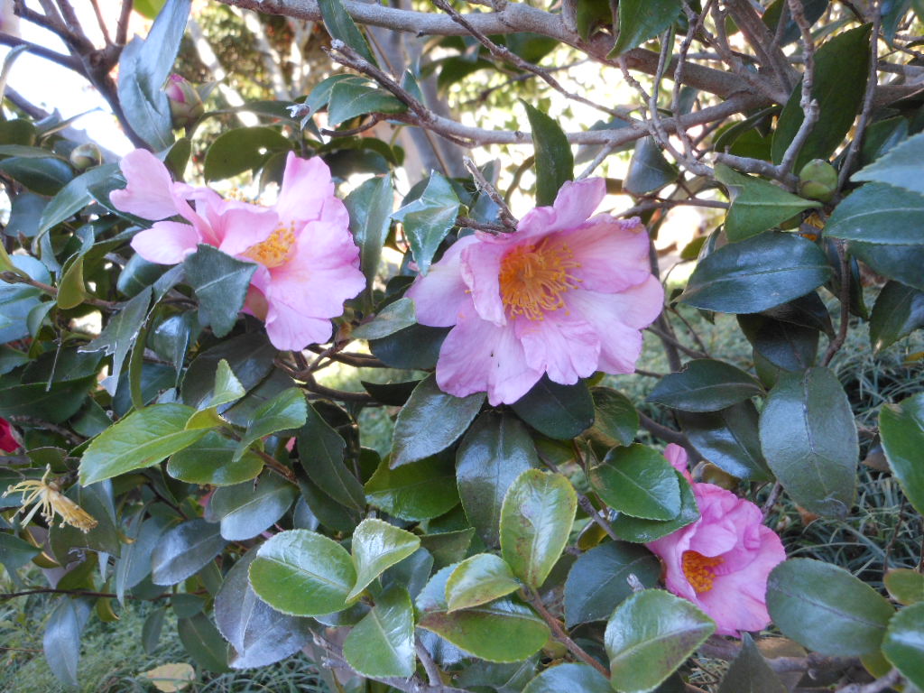 c0122744_20201711.jpg