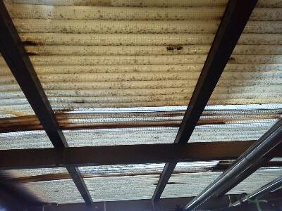 e0162050_1441036.jpg