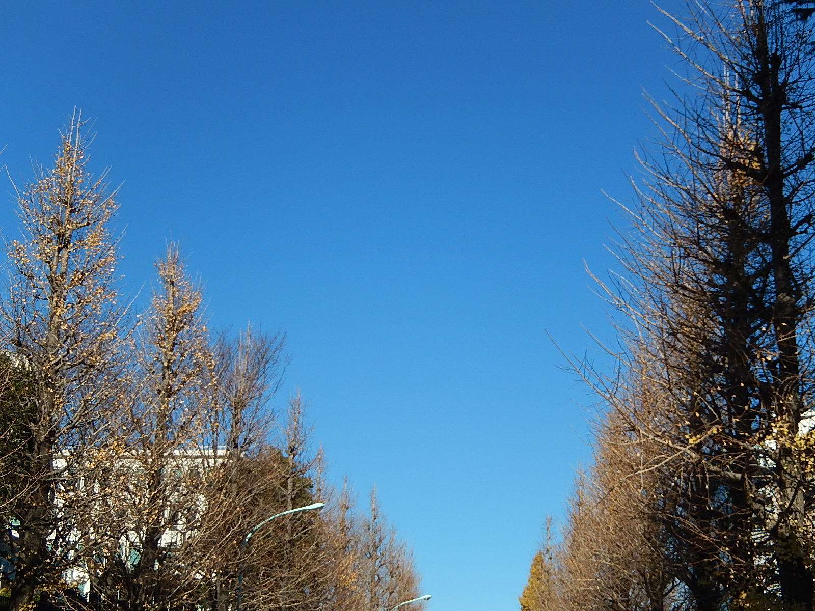 12月29日　渋谷　原宿　の自転車屋　FLAME bike前です_e0188759_1343433.jpg