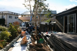 c0188961_17431640.jpg