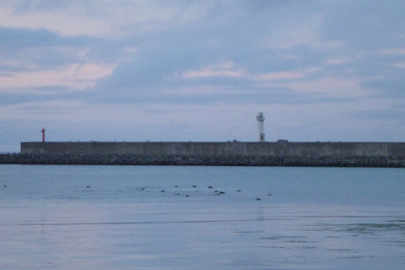 f0021369_07559.jpg