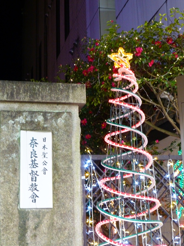 d0042474_11534021.jpg
