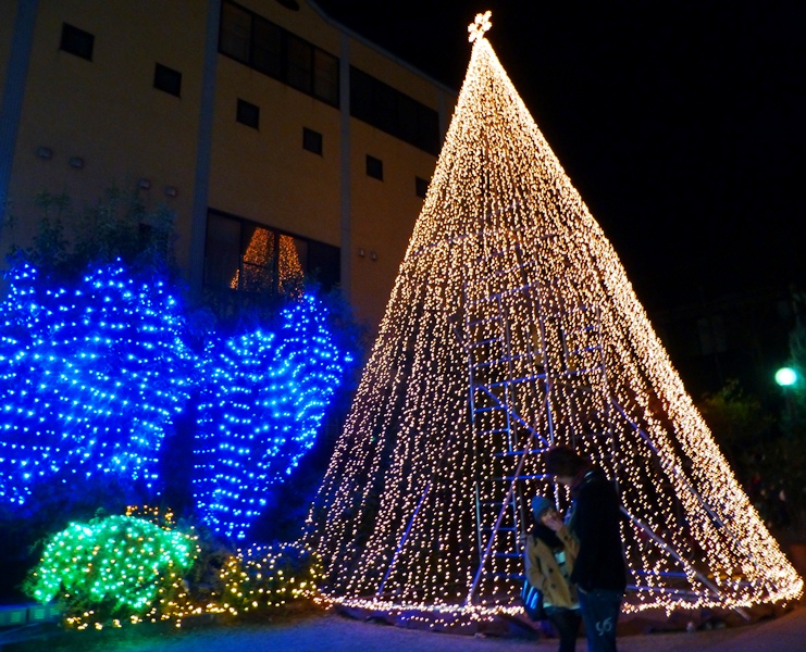 d0042474_11544787.jpg