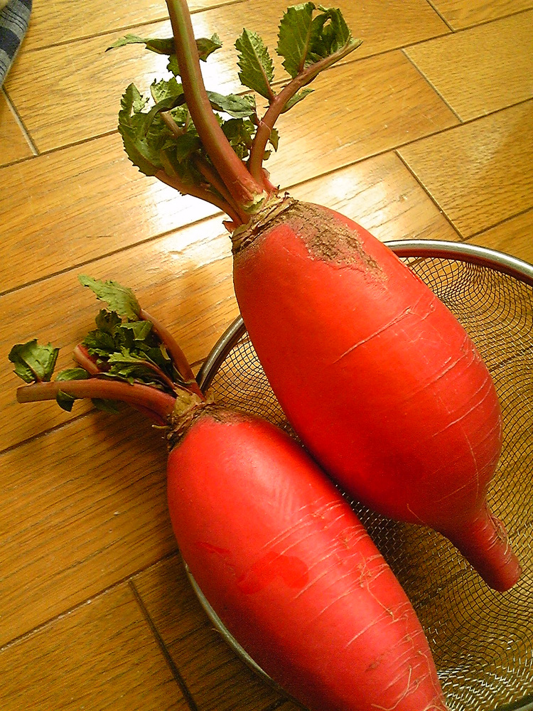 e0118274_22173358.jpg