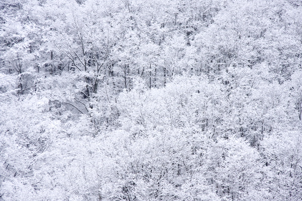 b0247880_592279.jpg