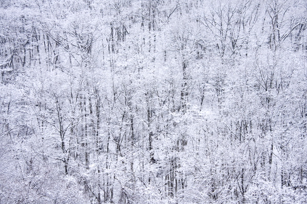 b0247880_594361.jpg