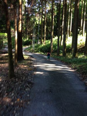 c0232780_92285.jpg