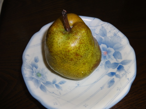 a0240486_215746.jpg