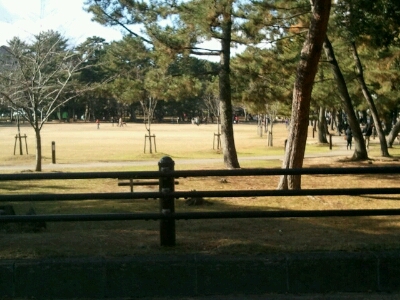 b0308588_1839974.jpg