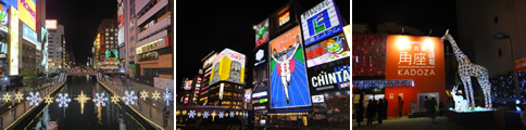 めっちゃ賑やか、道頓堀_d0132289_1532461.jpg