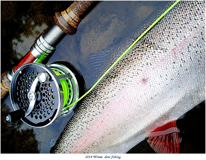 Prologue #2> SARACIONE Mark IV Salmon Reel 3-3/4