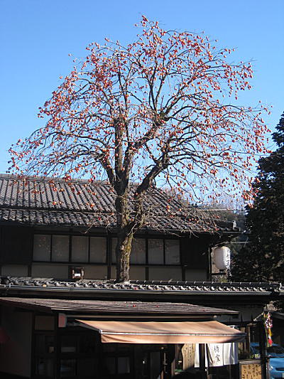 d0046702_8574272.jpg