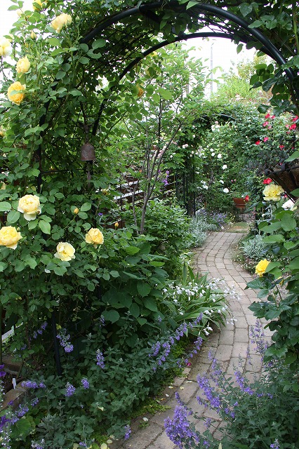 a0123003_1629406.jpg