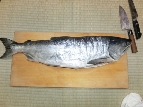 a0203003_14145931.jpg