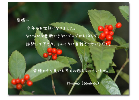 今年一年お世話になりました。_c0051105_23571267.jpg