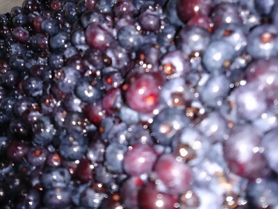 e0252905_911352.jpg