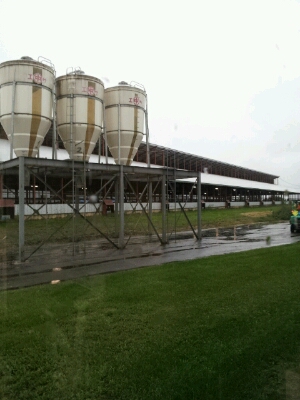 2013 〆_a0164408_12561134.jpg