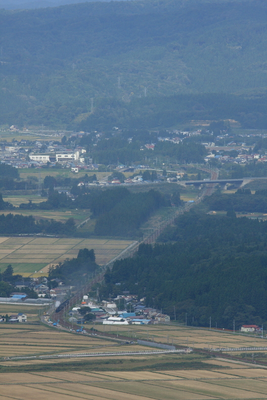 b0190710_2034999.jpg