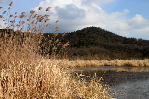 みぞろが池にも冬が_e0048413_21172375.jpg