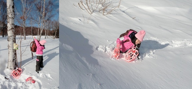 雪山散歩（バッコヤナギ、ナナカマド、ニセアカシア）_e0134713_12535652.jpg