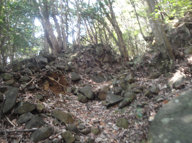 b0291016_18192184.jpg