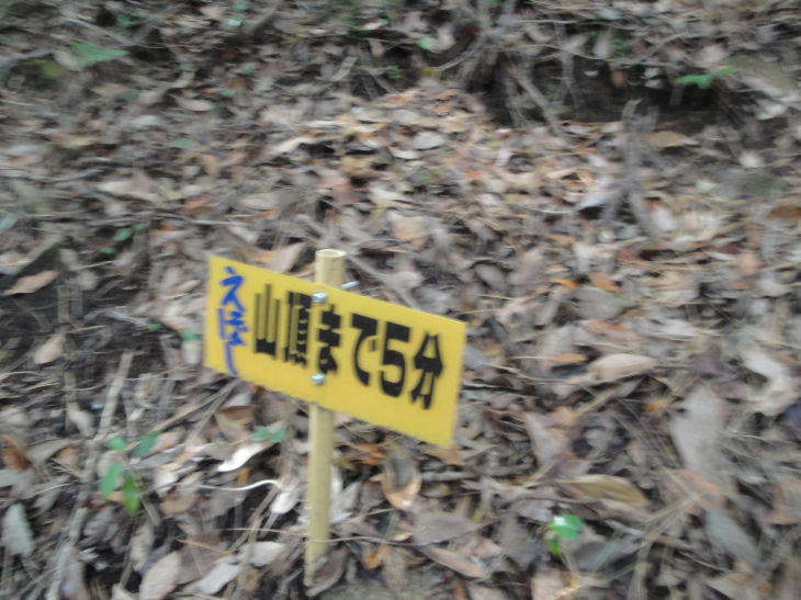 b0291016_19373477.jpg