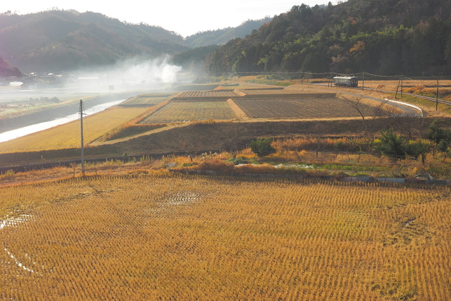 冬の田園を行くあおまつ号_b0230319_2555794.jpg