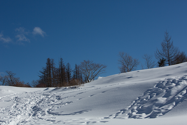 今年最後の雪遊び　本編_e0192921_18545578.jpg