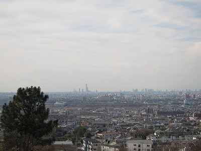 a0172222_21512002.jpg