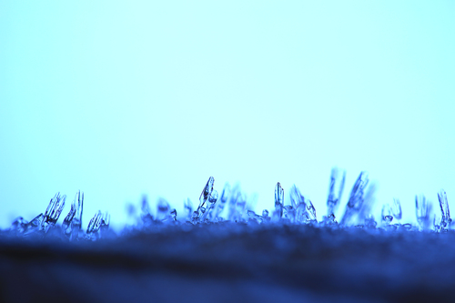 b0146723_2350591.jpg