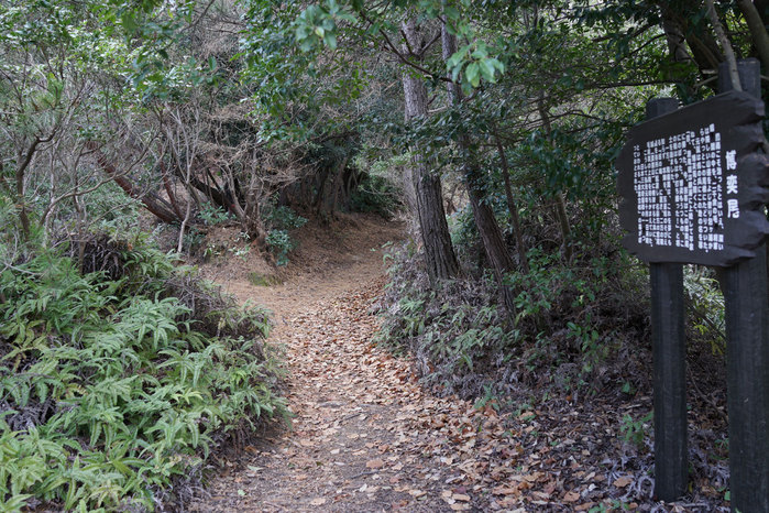 登り納め　宮島弥山_c0064025_21594165.jpg